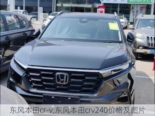 东风本田cr-v,东风本田crv240价格及图片