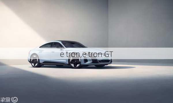 e tron,e tron GT