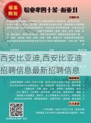 西安比亚迪,西安比亚迪招聘信息最新招聘信息