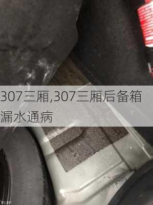 307三厢,307三厢后备箱漏水通病