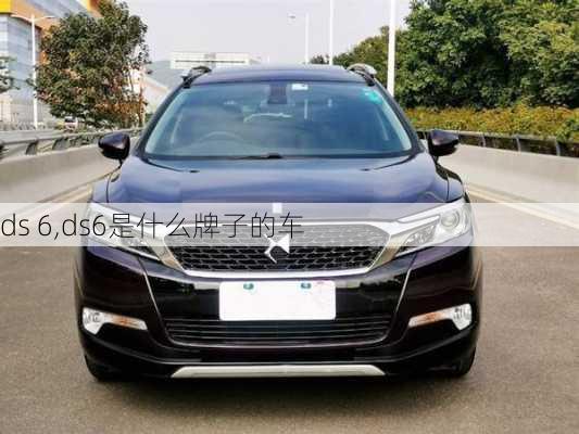 ds 6,ds6是什么牌子的车