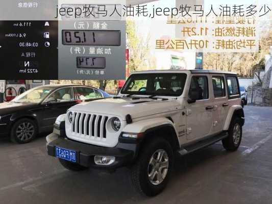 jeep牧马人油耗,jeep牧马人油耗多少