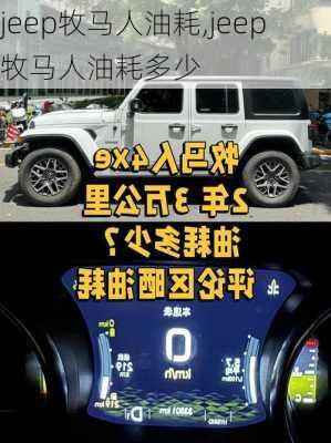 jeep牧马人油耗,jeep牧马人油耗多少