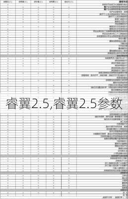 睿翼2.5,睿翼2.5参数