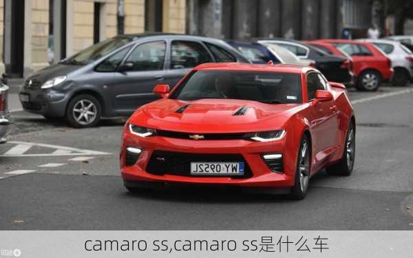 camaro ss,camaro ss是什么车