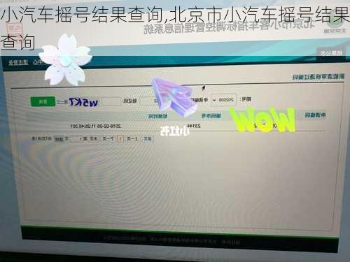 小汽车摇号结果查询,北京市小汽车摇号结果查询