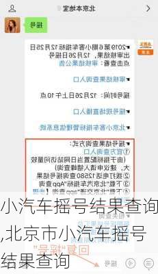 小汽车摇号结果查询,北京市小汽车摇号结果查询