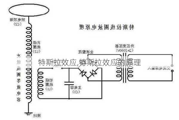 特斯拉效应,特斯拉效应的原理