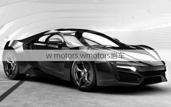 w motors,wmotors跑车