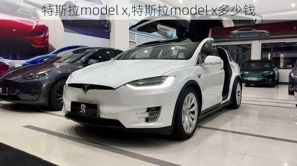 特斯拉model x,特斯拉model x多少钱