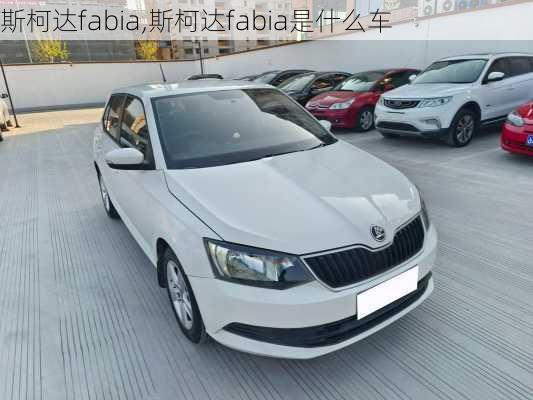 斯柯达fabia,斯柯达fabia是什么车