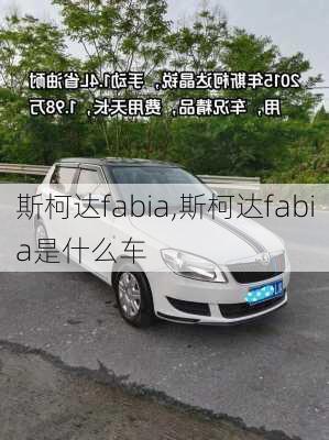 斯柯达fabia,斯柯达fabia是什么车