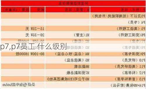 p7,p7员工 什么级别