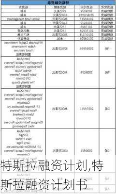 特斯拉融资计划,特斯拉融资计划书