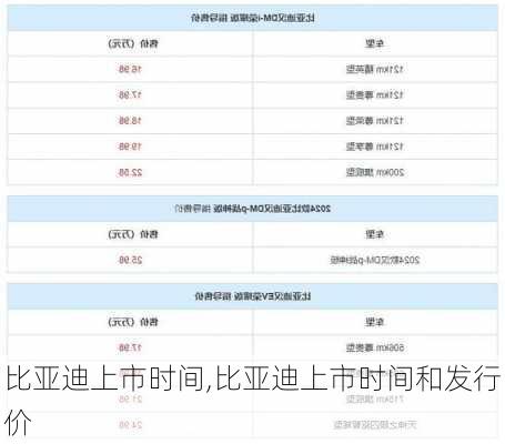 比亚迪上市时间,比亚迪上市时间和发行价
