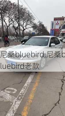 尼桑bluebird,尼桑bluebird老款